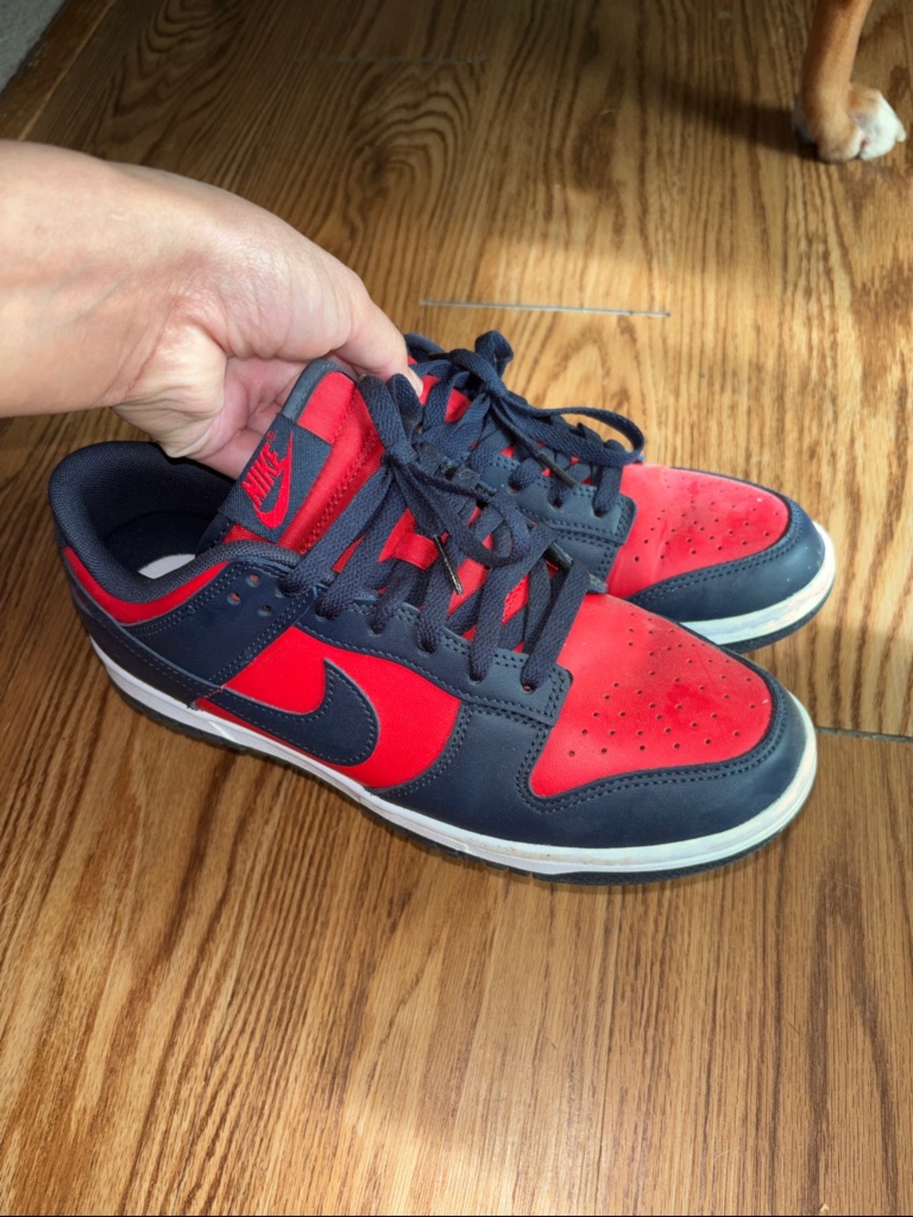 Nike Low-Top Sneakers in Red and Navy Blue